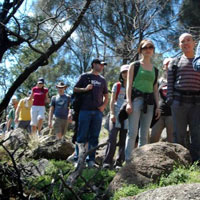 Verso L’Alto Melbourne <br/>& the apostolate of friendship